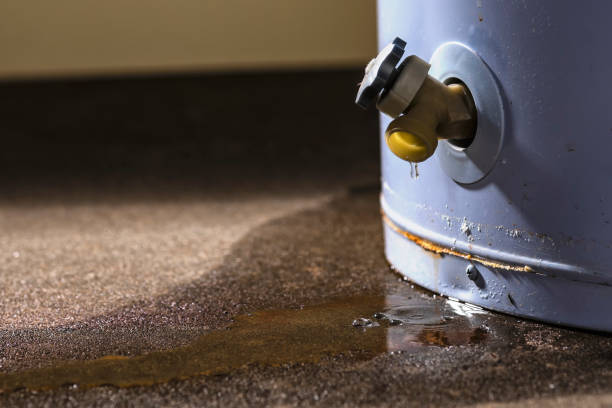 Best Commercial water damage restoration  in Bloomington, IL