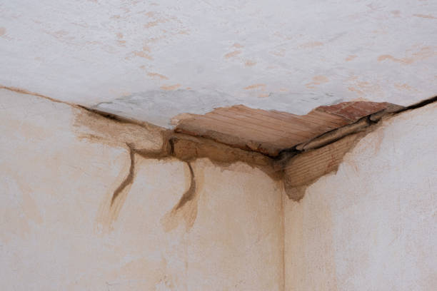 Best Professional water damage repair  in Bloomington, IL