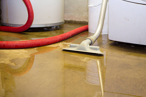 Best Fire Damage Restoration  in Bloomington, IL