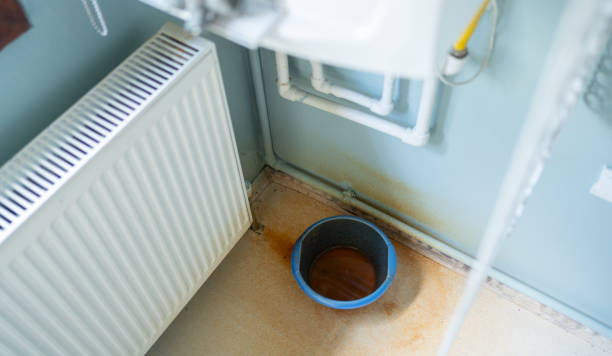 Best Ceiling water damage repair  in Bloomington, IL